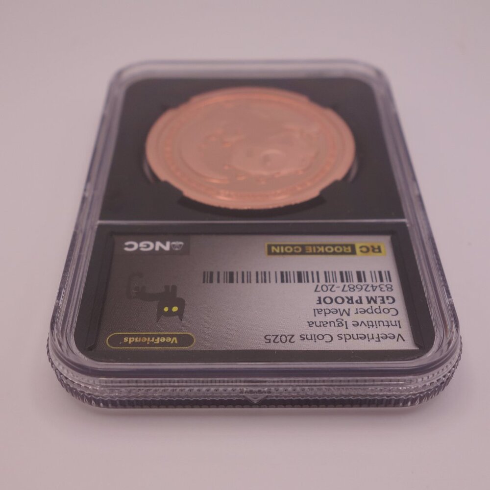 VeeFriends Coins 2025 Intuitive Iguana Copper Medal GEM PROOF Rookie Coin NGC - Picture 6 of 16